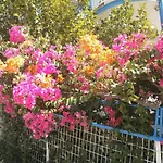 Seaview Self Catering - Helen No 1 *